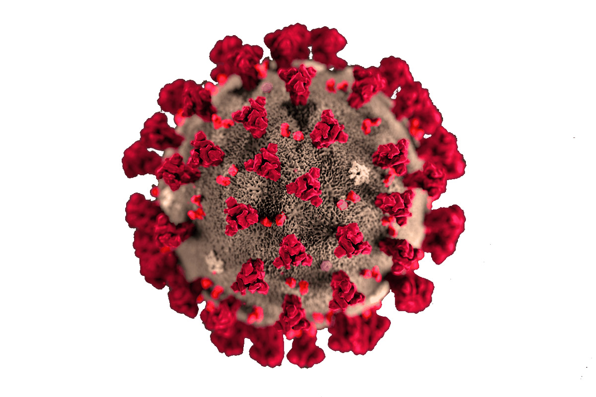 Corona-Virus Update by Stuis Törns